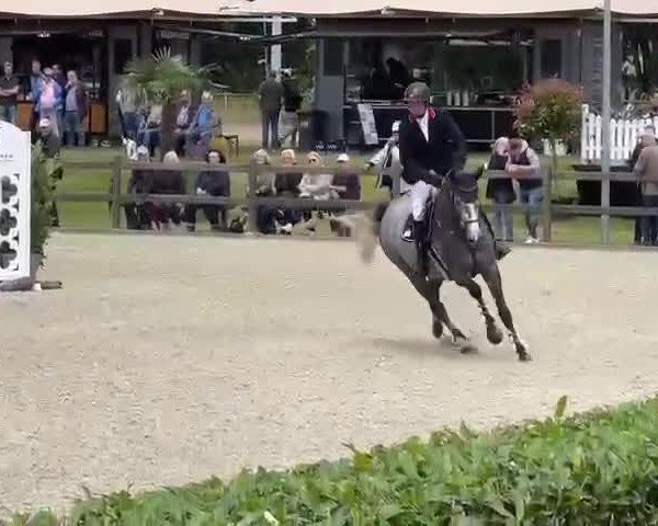 Video of Donata Regina