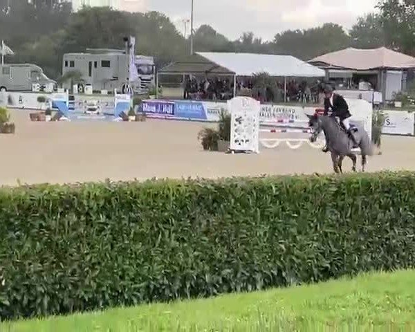 Video of Donata Regina