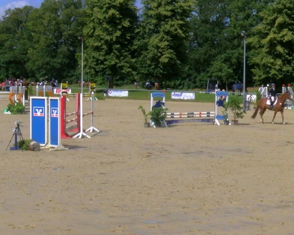 Reitturnier Coesfeld/Lette 2024