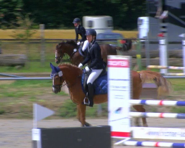Reitturnier Coesfeld/Lette 2024