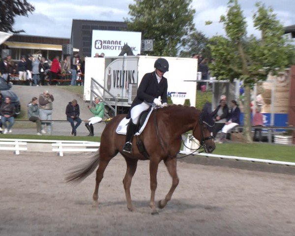 Reitturnier Fröndenberg 2024