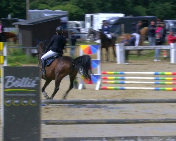 Reitturnier Coesfeld/Lette 2024