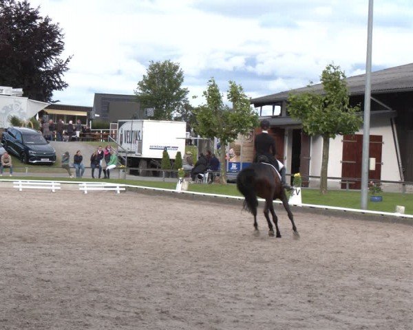 Reitturnier Fröndenberg 2024