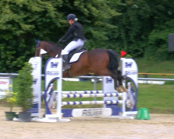 Reitturnier Coesfeld/Lette 2024