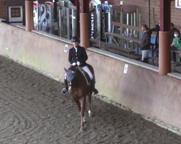 Reitturnier Herzebrock-Rheda 2021
