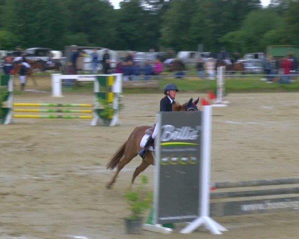 Reitturnier Coesfeld/Lette 2024