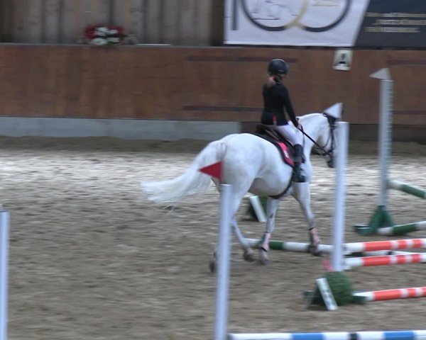 Reitturnier Fröndenberg 2024