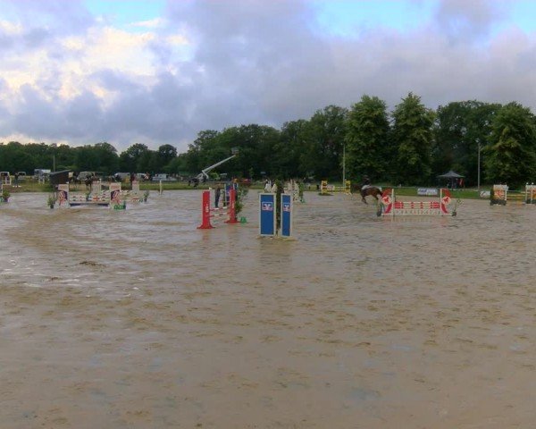 Reitturnier Coesfeld/Lette 2024