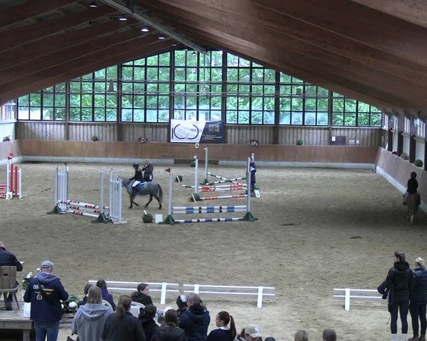 Reitturnier Fröndenberg 2024