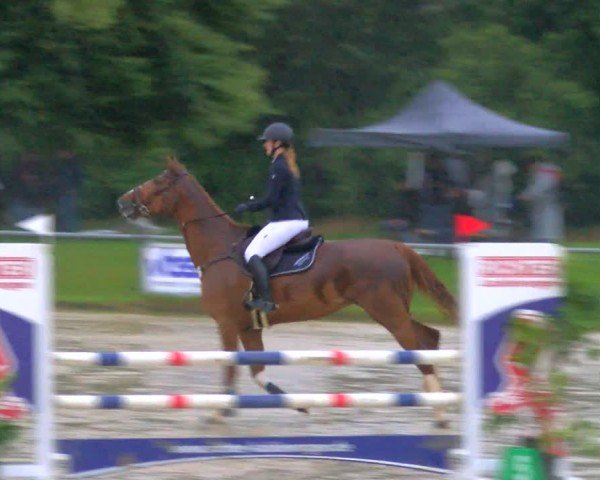 Reitturnier Coesfeld/Lette 2024