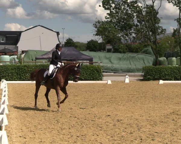 Reitturnier Wingerode 2024