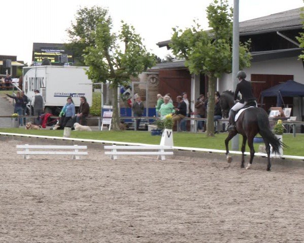 Reitturnier Fröndenberg 2024