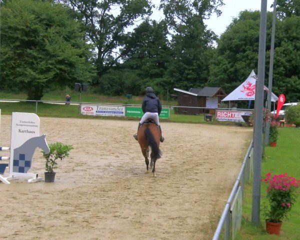 Reitturnier Coesfeld/Lette 2024
