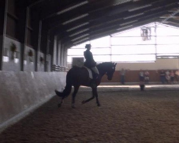Datteln 2012