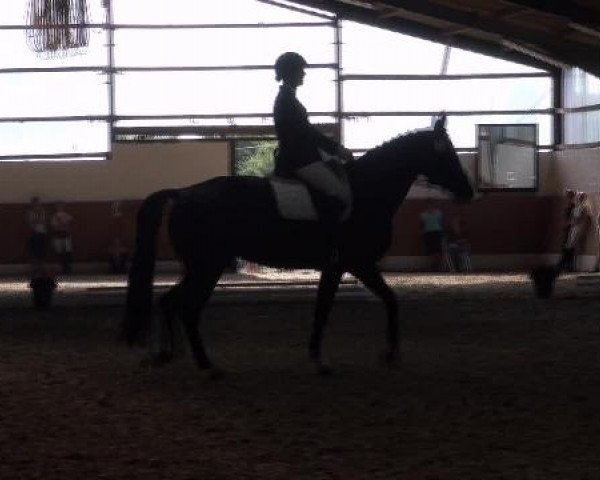 Datteln 2012