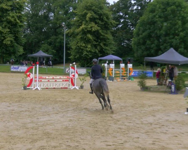 Reitturnier Coesfeld/Lette 2024