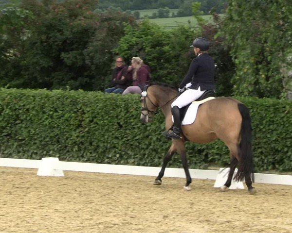 Reitturnier Wingerode 2024