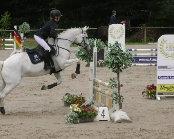 Reitturnier Springe 2024