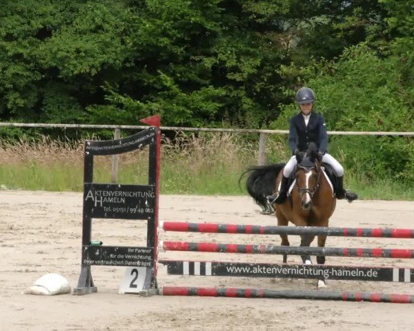 Reitturnier Springe 2024