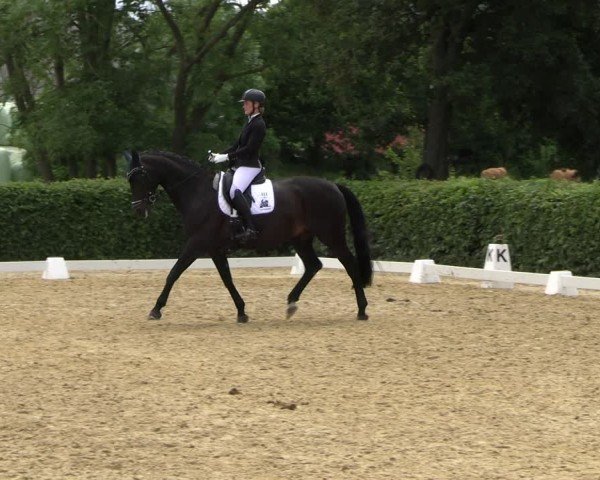 Reitturnier Wingerode 2024