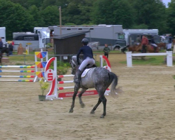 Reitturnier Coesfeld/Lette 2024