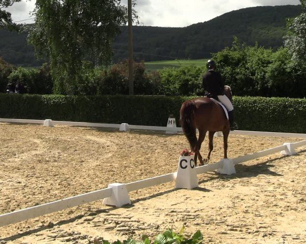 Reitturnier Wingerode 2024