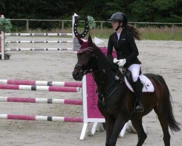 Reitturnier Springe 2024