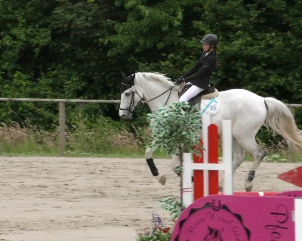 Reitturnier Springe 2024