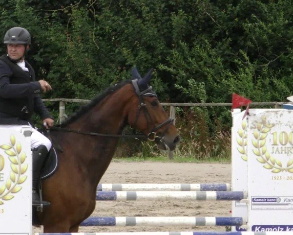 Reitturnier Springe 2024