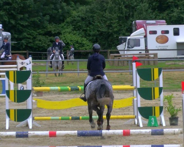 Reitturnier Coesfeld/Lette 2024