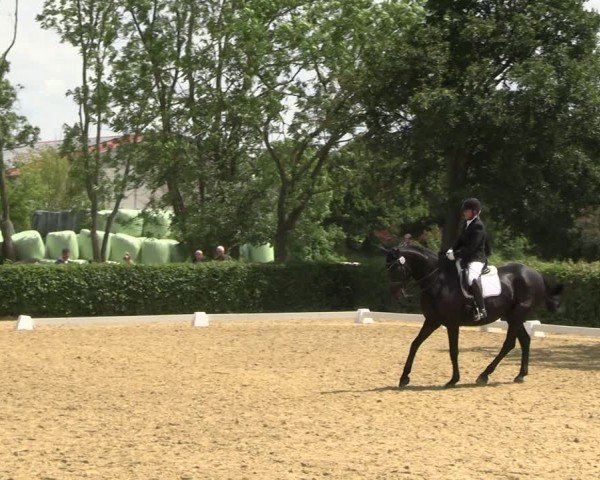 Reitturnier Wingerode 2024
