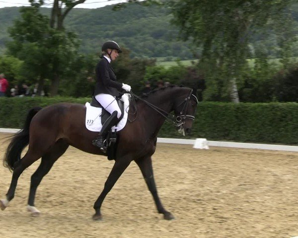 Reitturnier Wingerode 2024