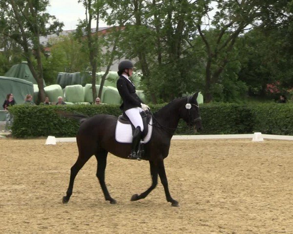 Reitturnier Wingerode 2024