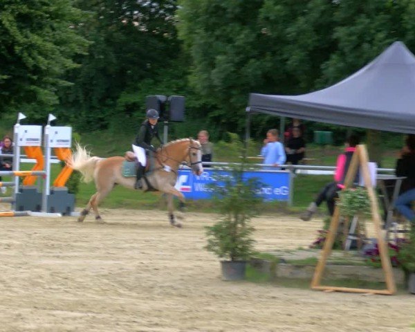 Reitturnier Coesfeld/Lette 2024