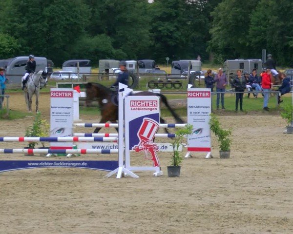Reitturnier Coesfeld/Lette 2024