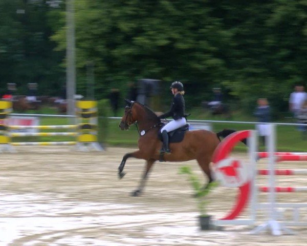 Reitturnier Coesfeld/Lette 2024