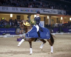 stallion Vitalis (KWPN (Royal Dutch Sporthorse), 2007, from Vivaldi)