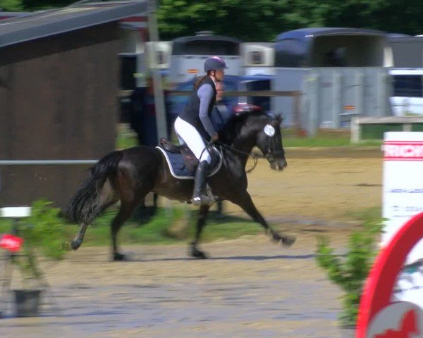Reitturnier Coesfeld/Lette 2024