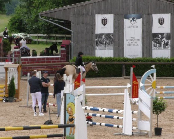 Reitturnier Berching/Opf. 2024