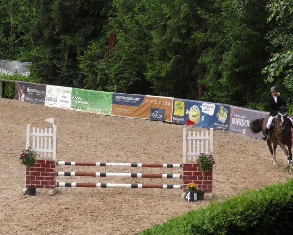 Reitturnier Berching/Opf. 2024