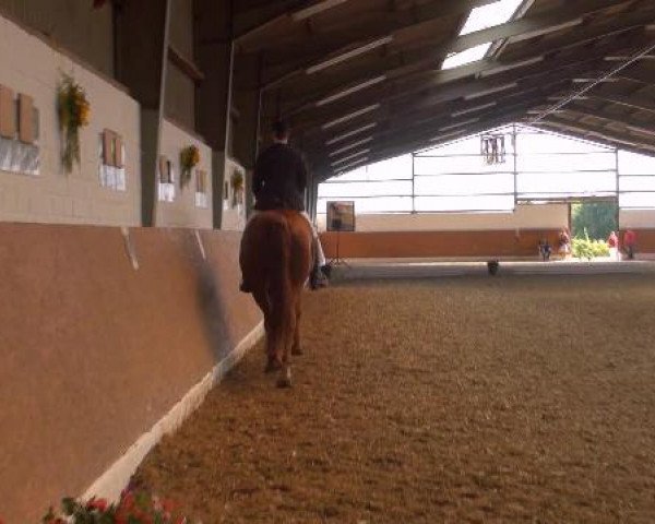 Datteln 2012