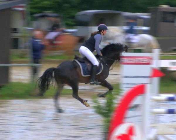Reitturnier Coesfeld/Lette 2024