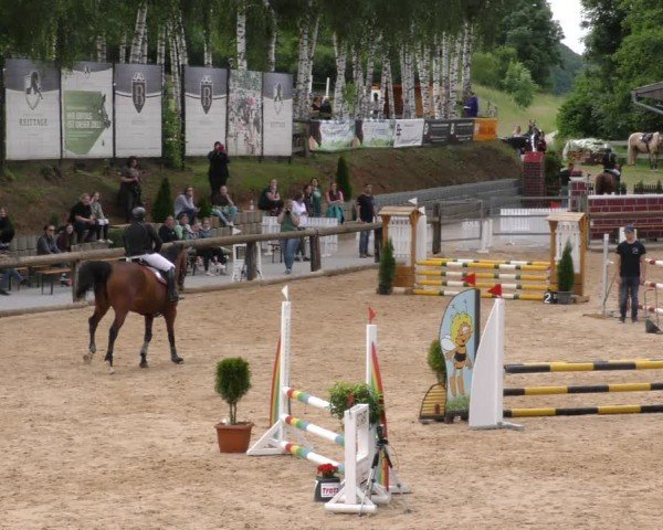 Reitturnier Berching/Opf. 2024