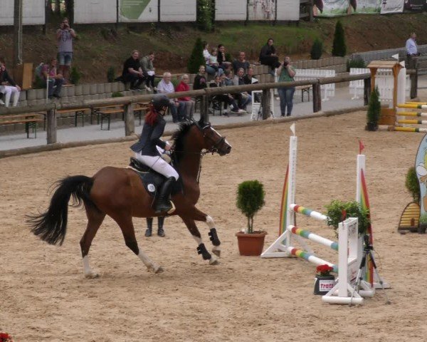 Reitturnier Berching/Opf. 2024
