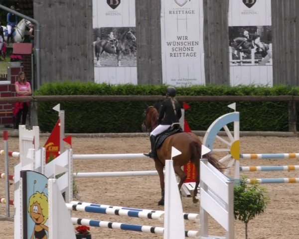 Reitturnier Berching/Opf. 2024