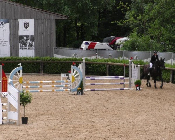Reitturnier Berching/Opf. 2024