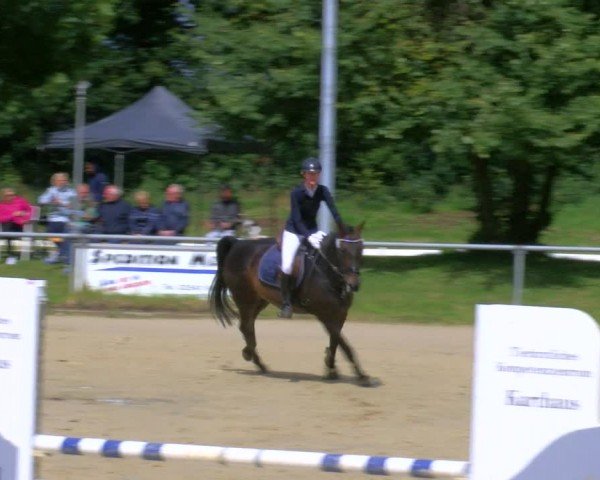Reitturnier Coesfeld/Lette 2024