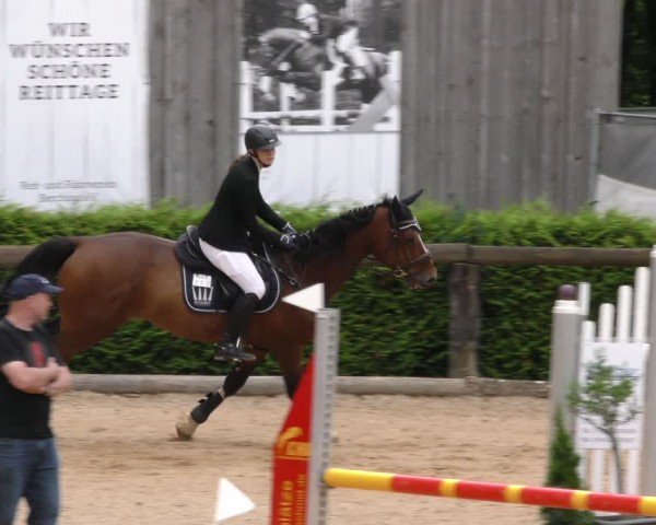Reitturnier Berching/Opf. 2024