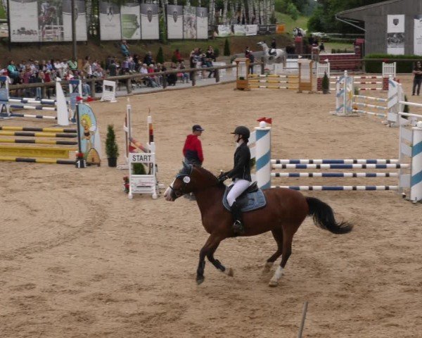 Reitturnier Berching/Opf. 2024