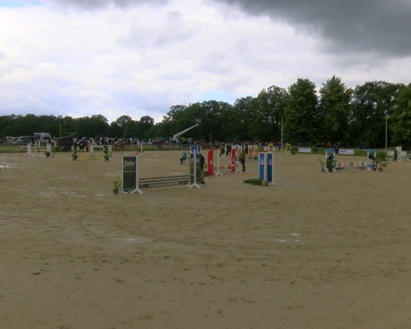 Reitturnier Coesfeld/Lette 2024
